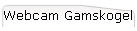 Webcam Gamskogel