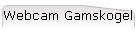 Webcam Gamskogel